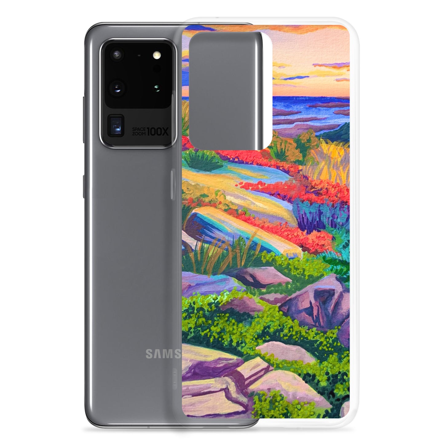 Acadia National Park Samsung Phone Case