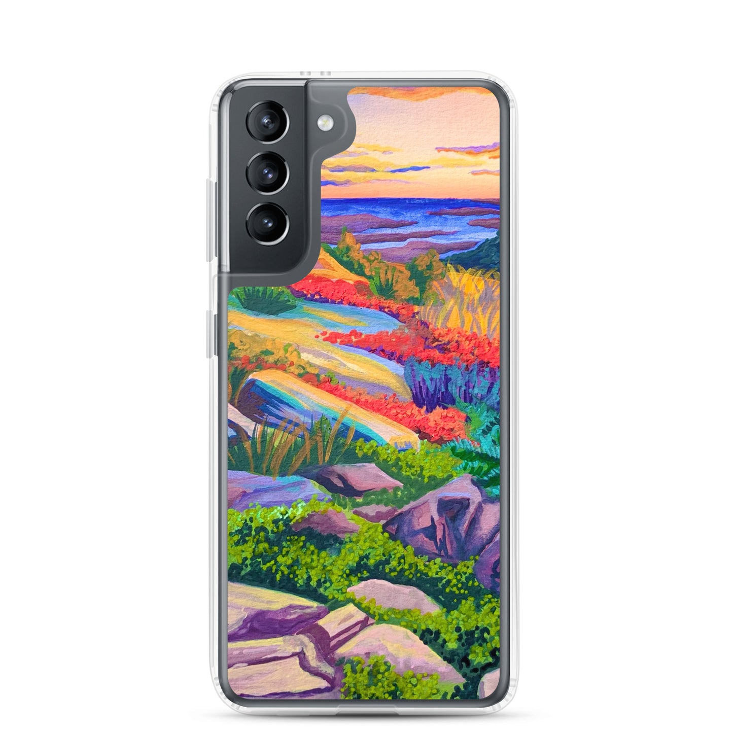 Acadia National Park Samsung Phone Case