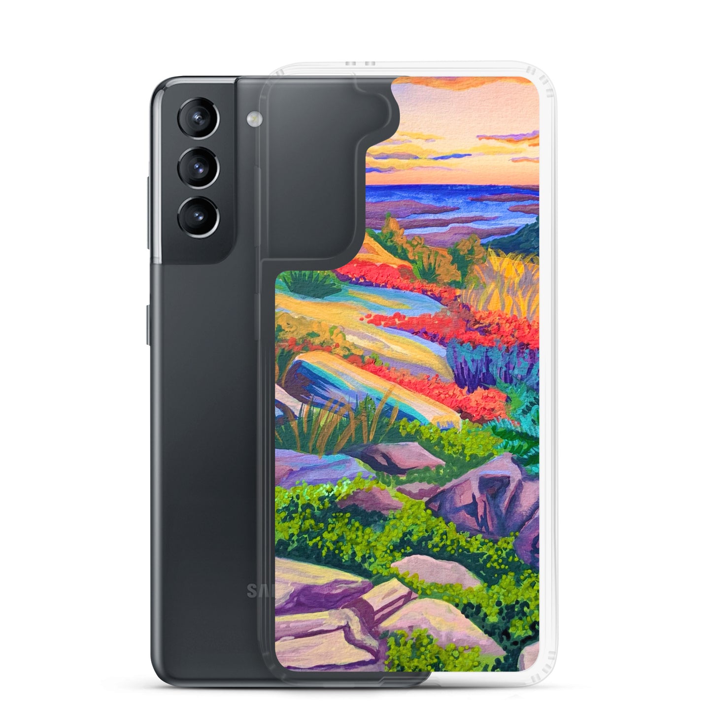 Acadia National Park Samsung Phone Case