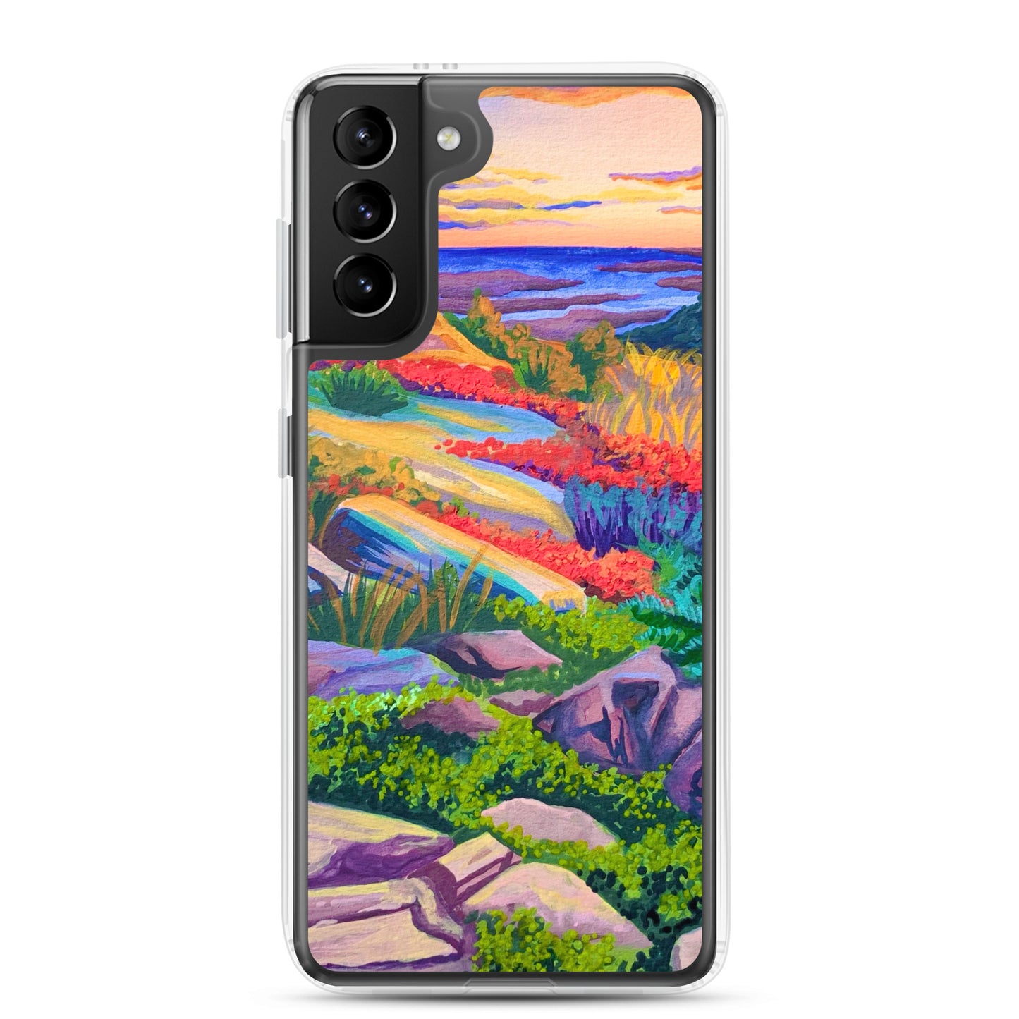 Acadia National Park Samsung Phone Case