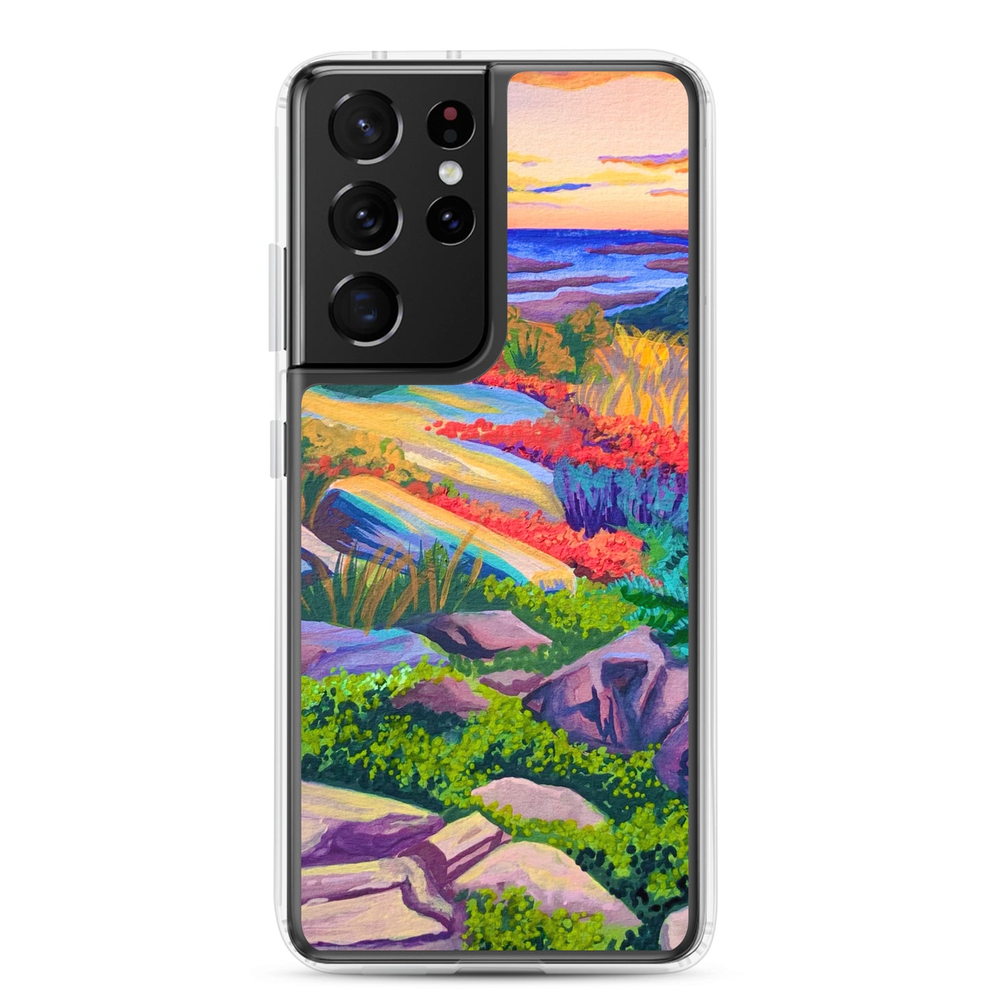 Acadia National Park Samsung Phone Case