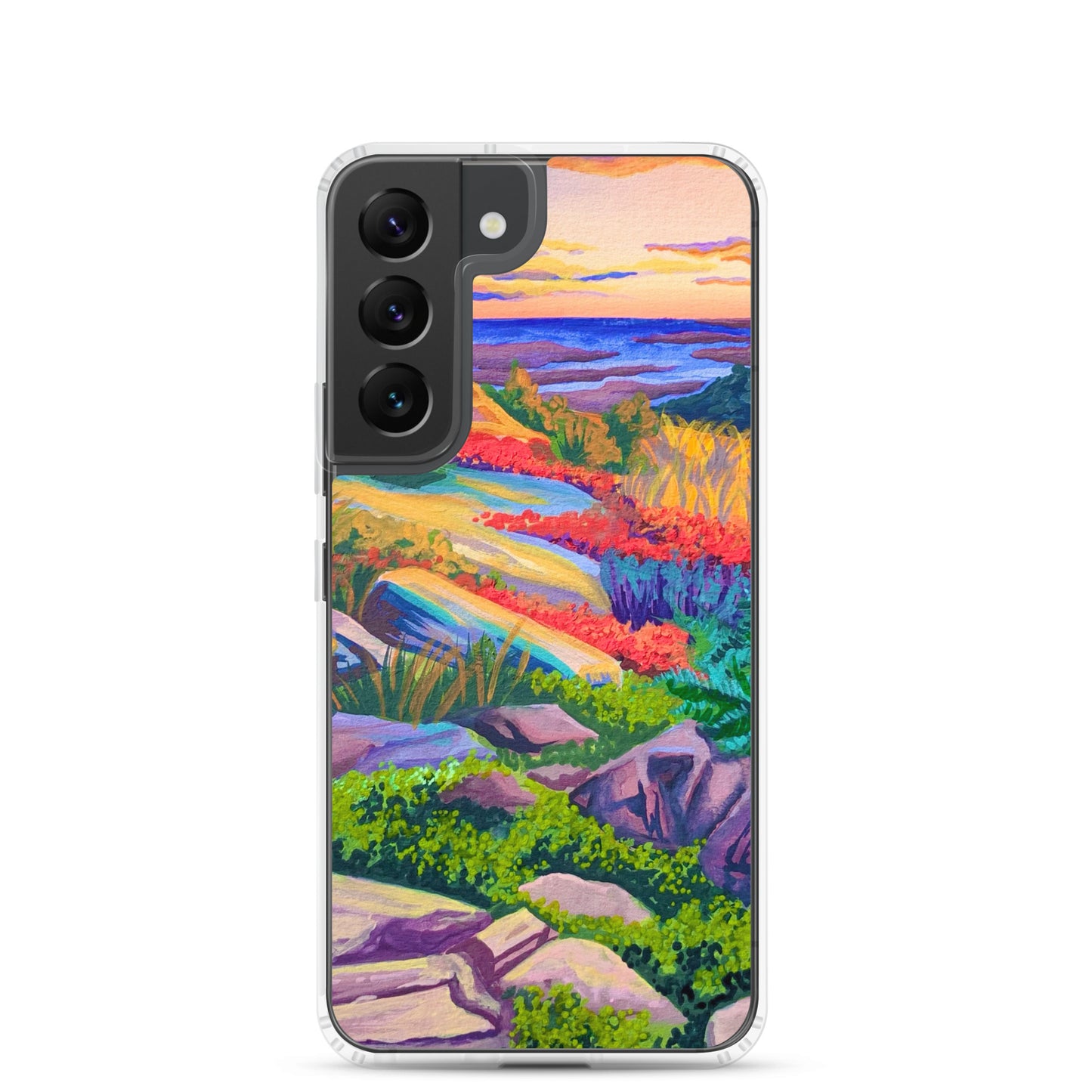 Acadia National Park Samsung Phone Case