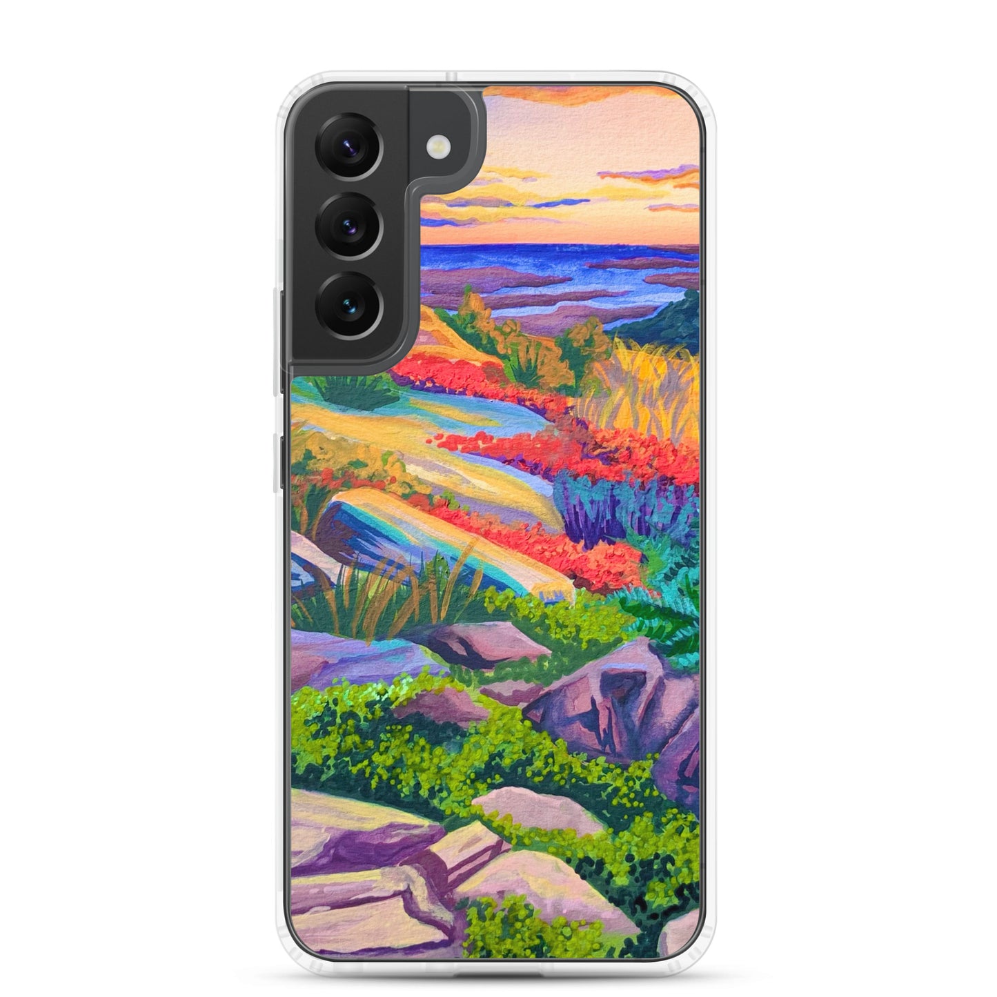 Acadia National Park Samsung Phone Case