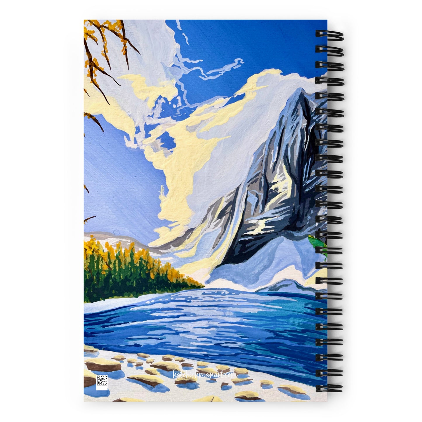 Denali National Park Notebook
