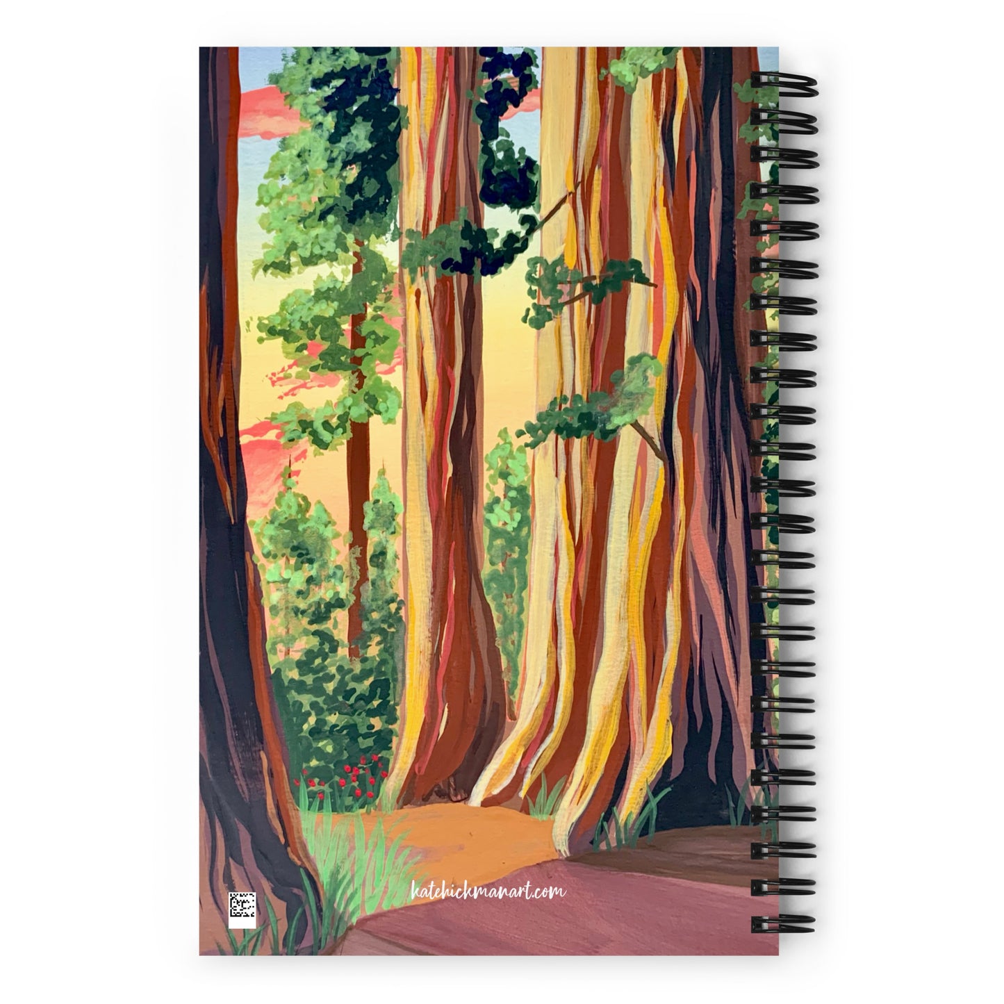 Redwoods National Park Notebook