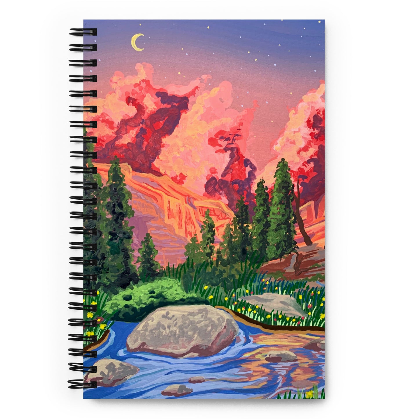 Rocky Mountains National Park Notebook