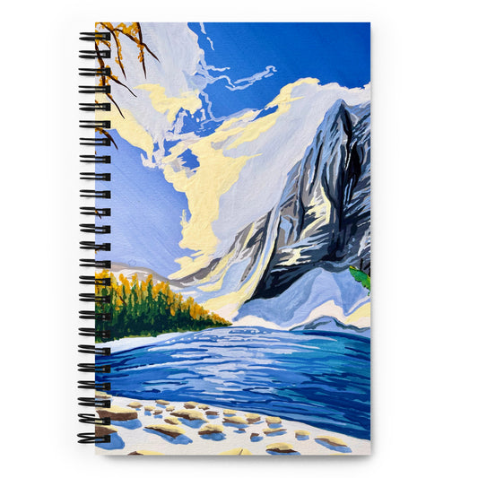 Denali National Park Notebook