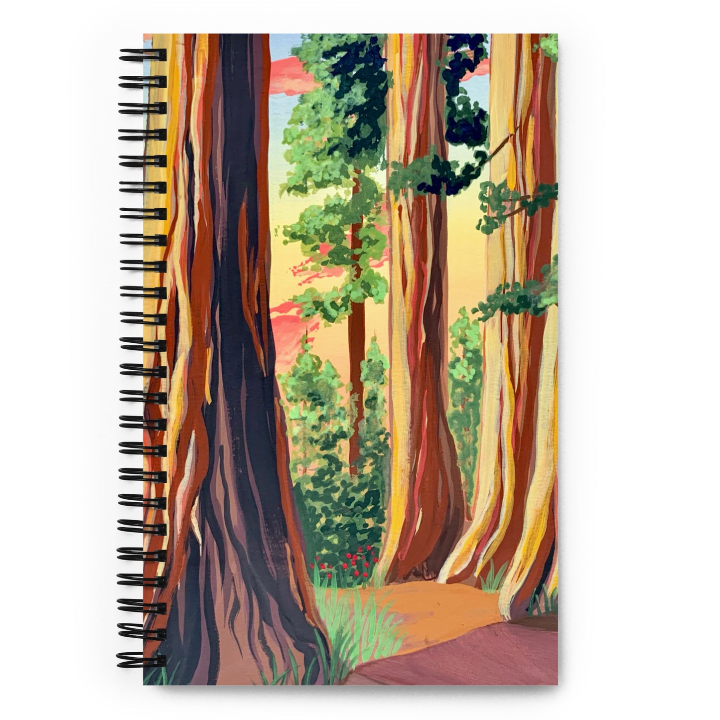Redwoods National Park Notebook