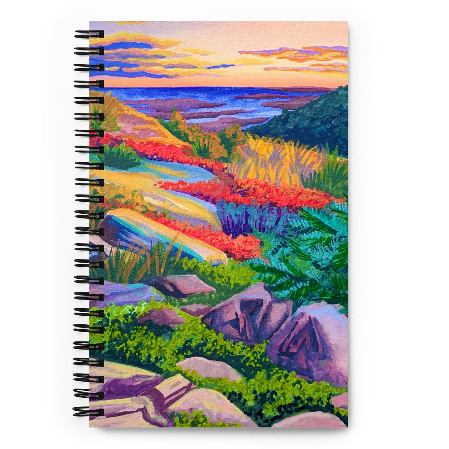 Acadia National Park Notebook