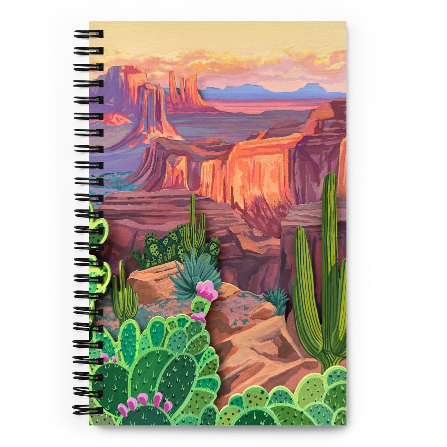 Saguaro National Park Notebook